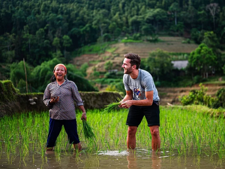 campos de arroz del norte de Vietnam Hoang Su Phi