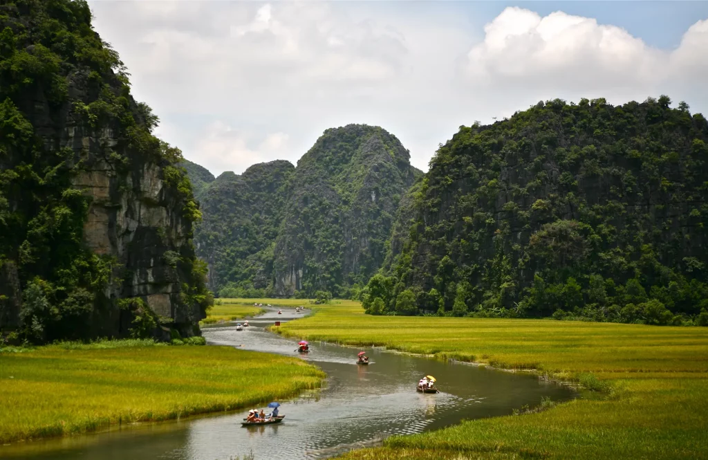 barco por los canales entre arrozales en Ninh Binh