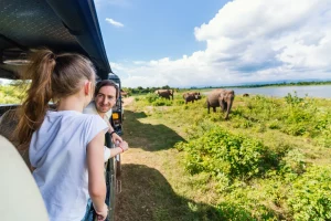 decir no a la explotación animal en el turismo