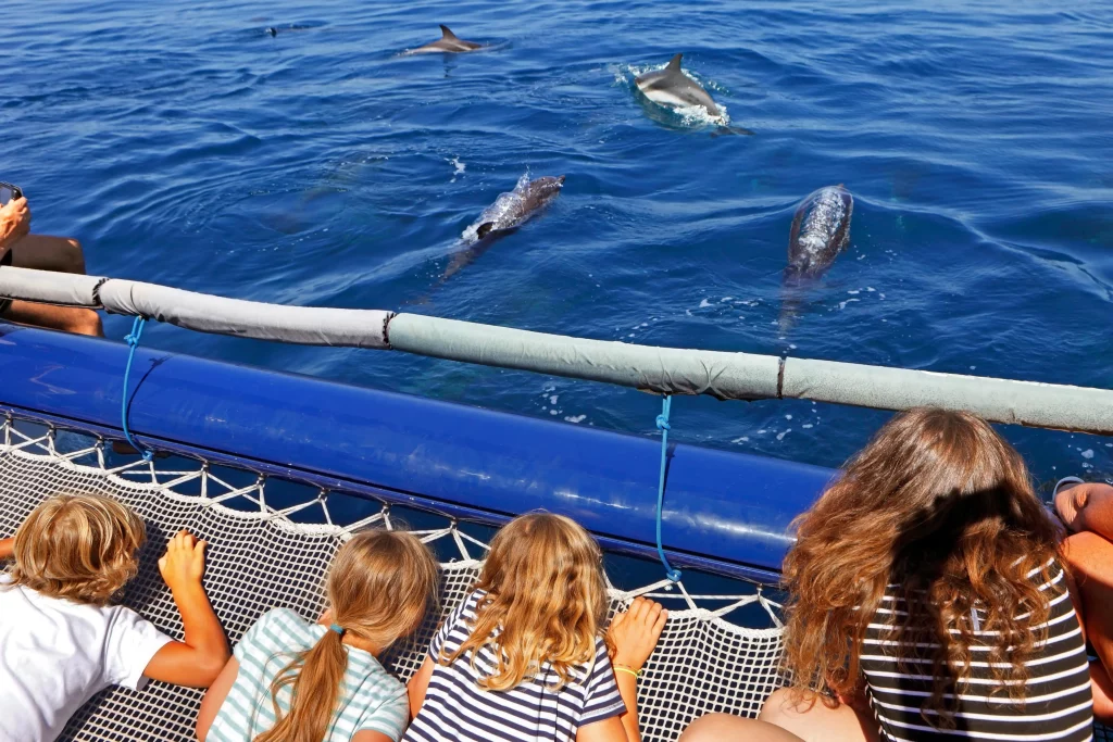 Mirissa ballenas