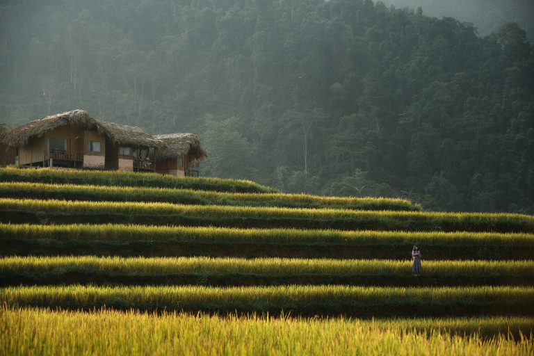 Hoang Su Phi: El viaje a Vietnam que toca el patrimonio de los arrozales Norte Vietnam