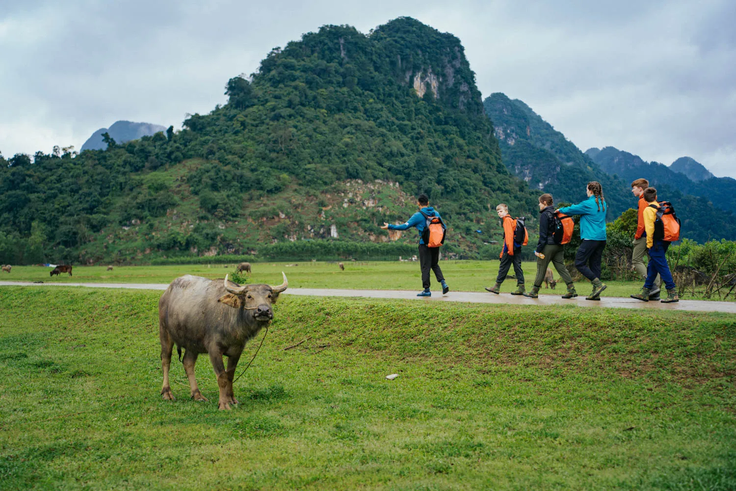 Tras bambalinas: Descubra el mundo real de 'King Kong' en Phong Nha, Vietnam