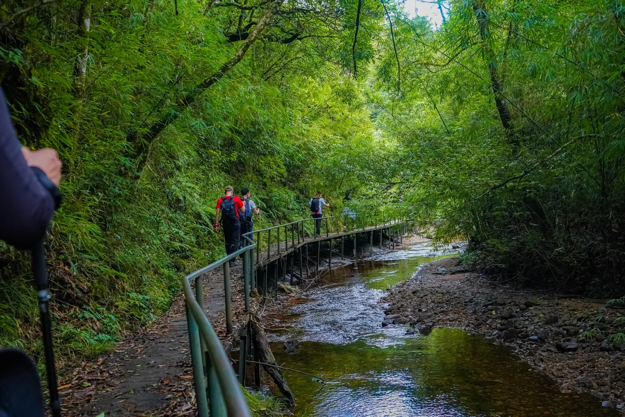 guía definitiva para hacer trekking en la montaña Fansipan en Sapa