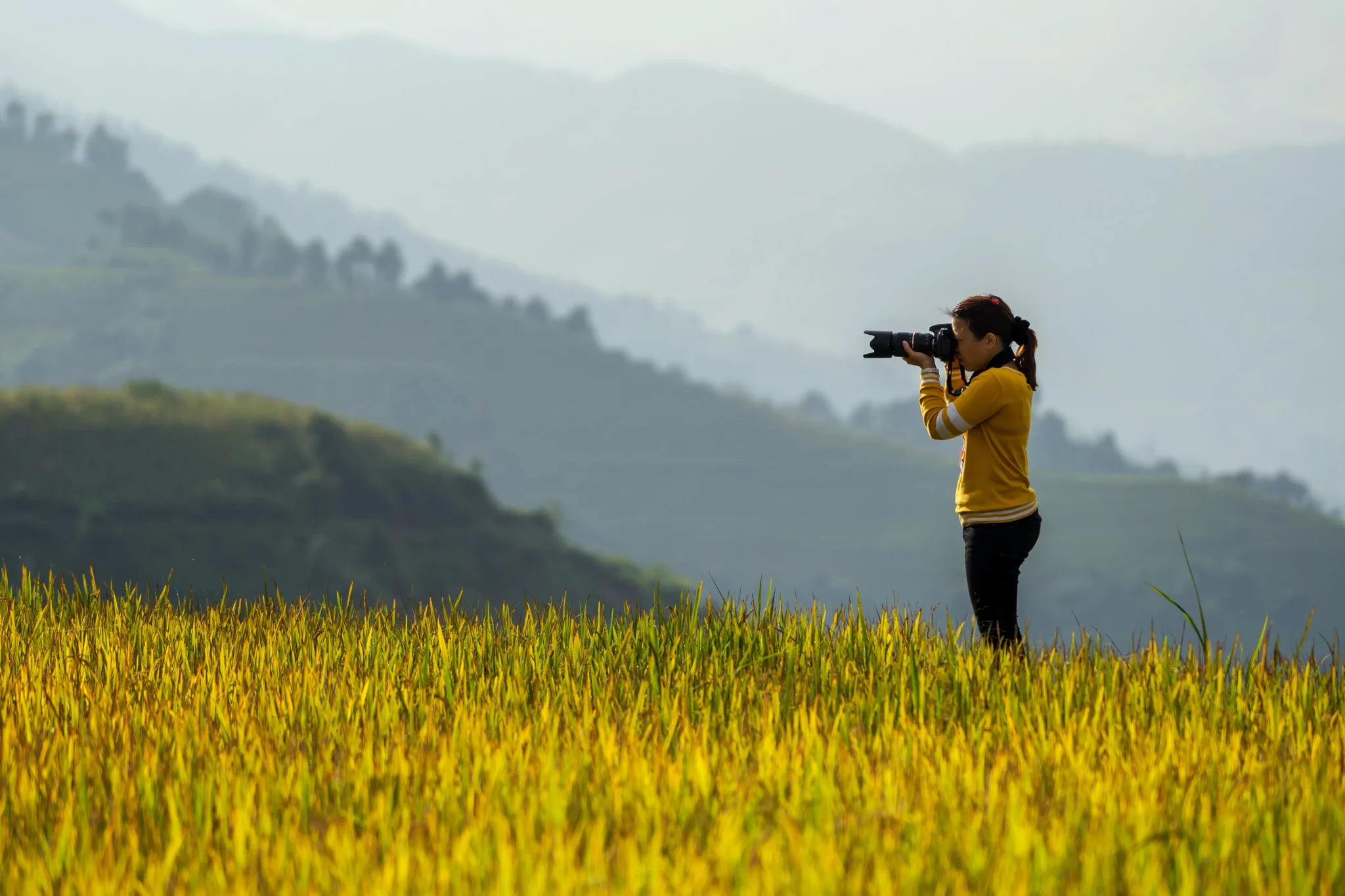 fotográfico tour terrazas de arroz norte de vietnam