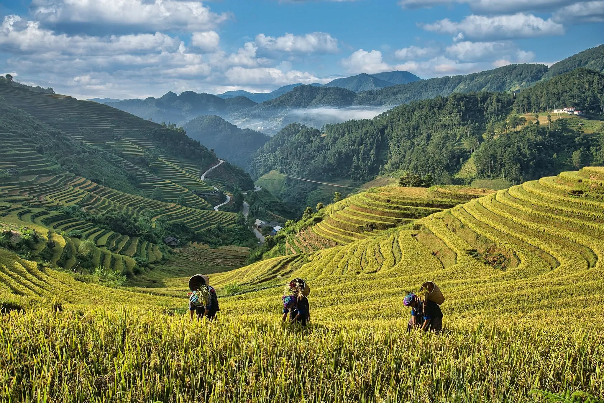 Terrazas de Arroz de Mu Cang Chai